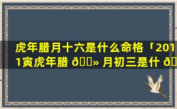 虎年腊月十六是什么命格「2011寅虎年腊 🌻 月初三是什 🐯 么命格」